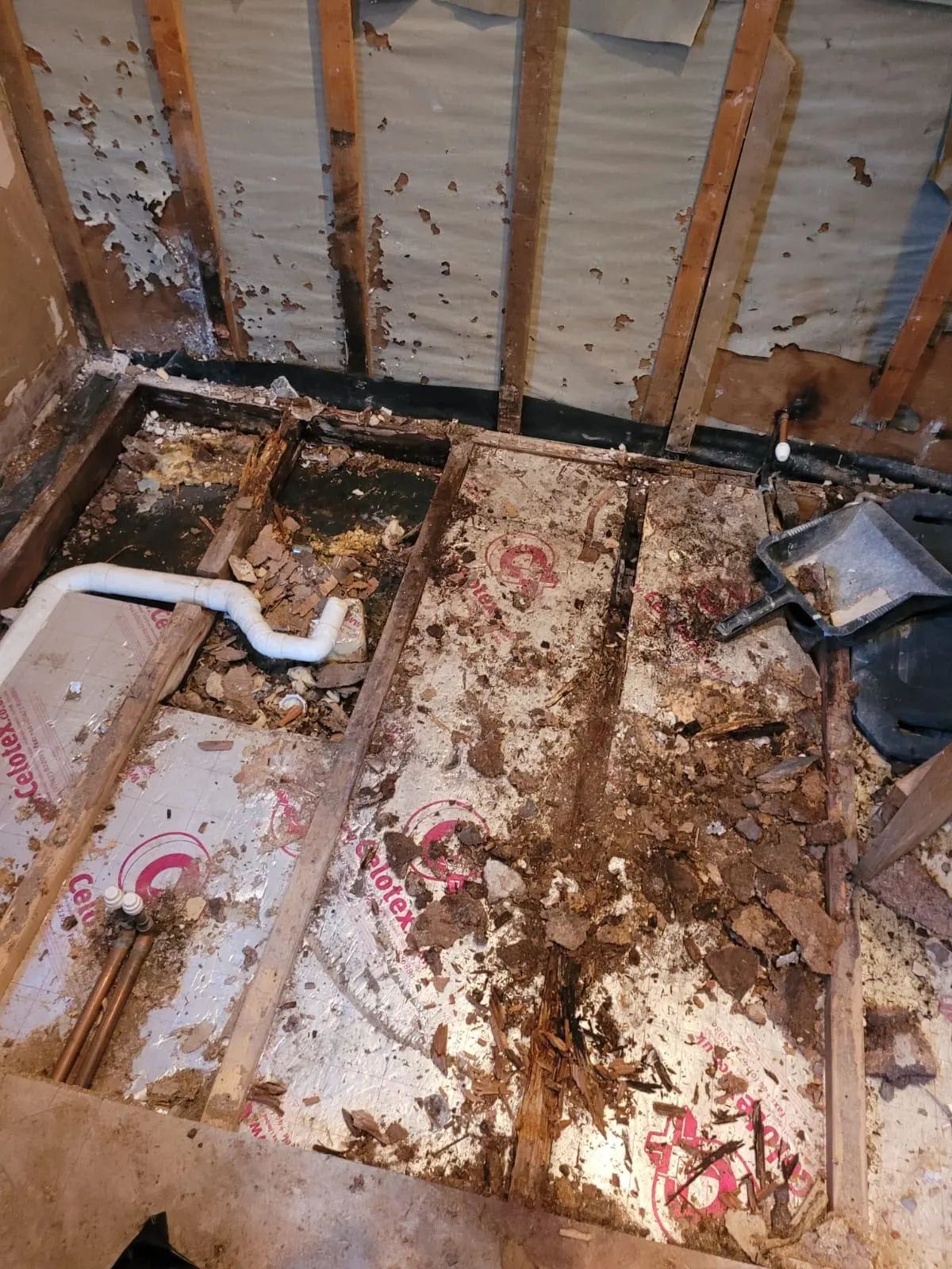 Rotted timber floor joists from bathroom leak showing water damage and bathroom moisture barrier failure