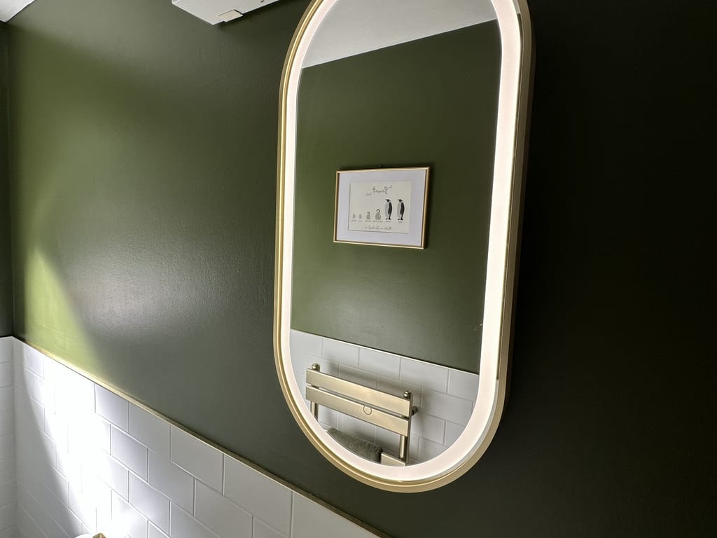 Lomax Light Capsule LED mirror with brushed brass trim reflecting penguin artwork against dark green wall Great Leighs CM3